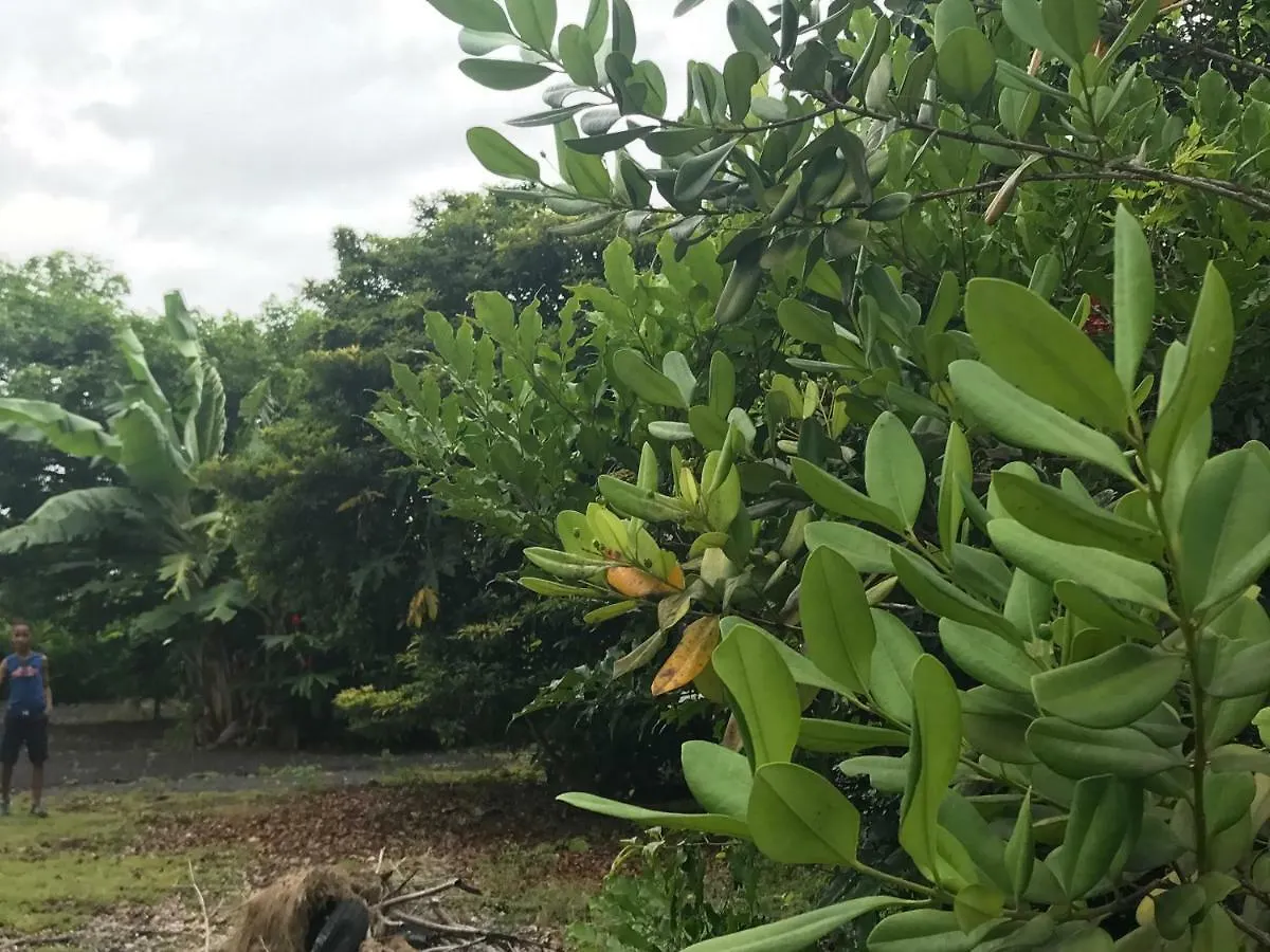 Holiday home Flane Gite Rural De Tourisme Capesterre-Belle-Eau Guadeloupe