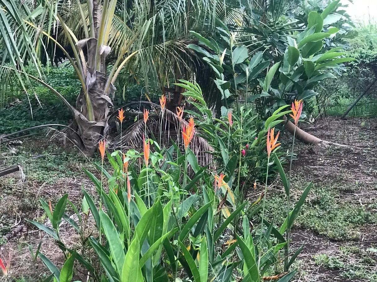 Prázdninový dům Flane Gite Rural De Tourisme Capesterre-Belle-Eau Guadeloupe