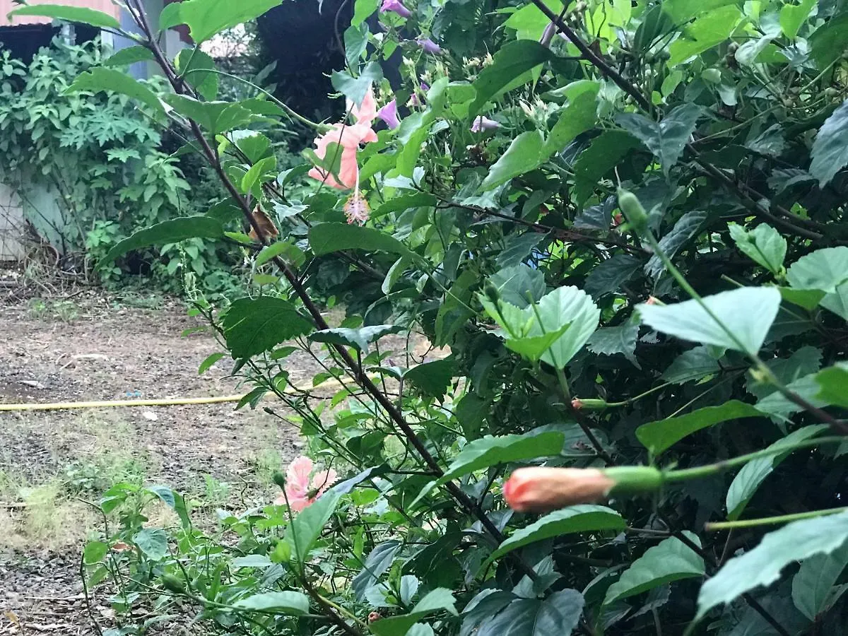 Prázdninový dům Flane Gite Rural De Tourisme Capesterre-Belle-Eau Guadeloupe